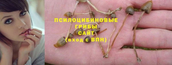марки nbome Новодвинск