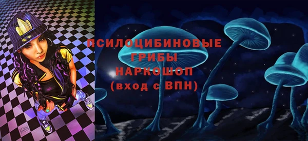 винт Новокубанск