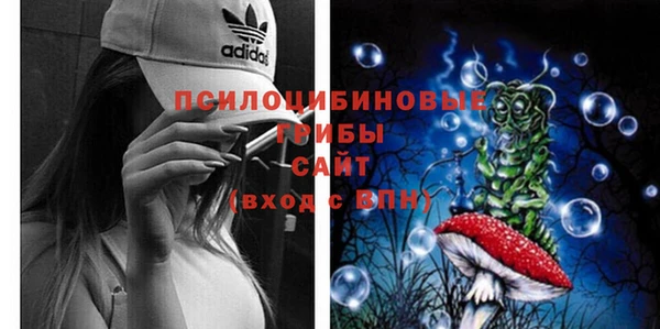 синтетический гашиш Новозыбков
