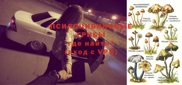 винт Новокубанск